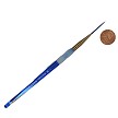 BK61-1 Royal Big Kids Choice Script Liner Brush Next to Coin to Compare Brush Sizes 
