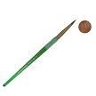 BK62-2 Royal Big Kids Choice Round Brush Next to Coin to Compare Brush Sizes 