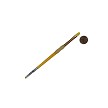 BK66-4 Royal Big Kids Choice Filbert Brush Next to Coin to Compare Brush Sizes 