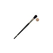L1357-1/2" Royal Camel Mix Sky Wash Brush Next to Coin to Compare Brush Sizes 