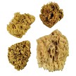 R2090 4 Piece Wool Sponge Set 