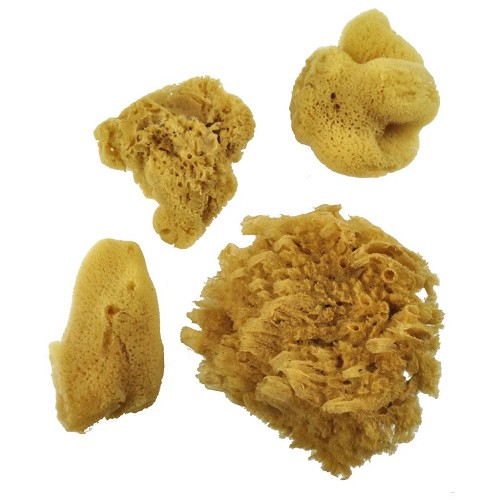 R2091 4 Piece Silk Sponge Set 