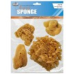 R2091 4 Piece Silk Sponge Set 