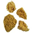 R2092 4 Piece Caribbean Sponge Set 
