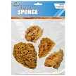 R2092 4 Piece Caribbean Sponge Set 