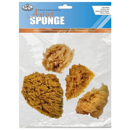 R2092 4 Piece Caribbean Sponge Set 