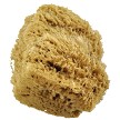 R2096 Jumbo Wool Sponge 