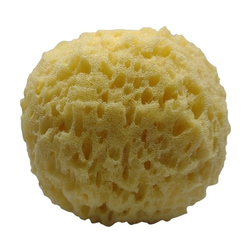 R2099 Royal Faux Painting Synthetic Sea Sponge 