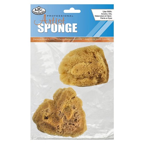 R2113 2 Piece Jumbo Silk Sponge Set 