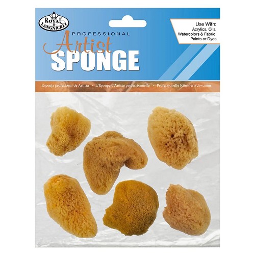 R2114 6 Piece Small Silk Sponge Set 