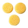 Royal R2117 3 synthetic artist sponges 