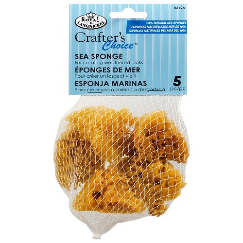 R2124 5 Piece Crafter Choice Sea Sponges 
