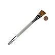 R2160-3/4" Royal Aqualon Short Handle Angular Brush Next to Coin to Compare Brush Sizes 