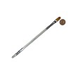 R2170-10 Royal Aqualon Filbert Artist Paint Brush Next to Coin to Compare Brush Sizes 