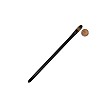 R4170-10 Royal Majestic Filbert Artist Paint Brush Next to Coin to Compare Brush Sizes 