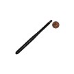 R4200S-6 Royal Mini Majestic Shader Brush Next to Coin to Compare Brush Sizes 