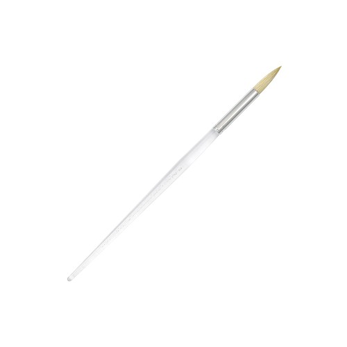 Royal CL325-12 Clear Choice Natural White Bristle Round Standard Handle Brush 