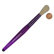 BK45 Royal Brush Toddler Purple Round Bristle Brush Next to Coin to Compare Brush Sizes 