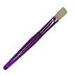 BK55 Royal Brush Toddler Purple Flat Bristle Brush 