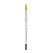 SG250-16 Royal Soft Grip Round Brush 25% to 60% Discount 