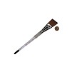 SG75A-1" Royal Soft Grip Synthetic Sable Angular Artist Paint Brush Next to Coin to Compare Brush Sizes 