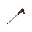 SG75MSS-1" Royal Soft Grip Synthetic Sable Oval Mop Artist Paint Brush Next to Coin to Compare Brush Sizes 