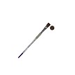 SG75S-12 Royal Soft Grip Synthetic Sable Shader Artist Paint Brush Next to Coin to Compare Brush Sizes 