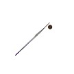 SG75Sl-4 Royal Soft Grip Synthetic Sable Script Liner Artist Paint Brush Next to Coin to Compare Brush Sizes 