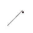 SG75Sl-6 Royal Soft Grip Synthetic Sable Script Liner Artist Paint Brush Next to Coin to Compare Brush Sizes 