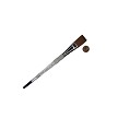 SG75ST-3/4" Royal Soft Grip Synthetic Sable Stroke Artist Paint Brush Next to Coin to Compare Brush Sizes 
