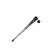 SG75W-3/4" Royal Soft Grip Synthetic Sable Wash Artist Paint Brush Next to Coin to Compare Brush Sizes 