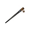 Z73ST-3/4" Royal Zen Single Stroke All Media Brush Next to Coin to Compare Brush Sizes 