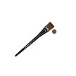 Z73W-1" Royal Zen Wash All Media Brush Next to Coin to Compare Brush Sizes 