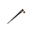 Z73W-3/4" Royal Zen Wash All Media Brush Next to Coin to Compare Brush Sizes 